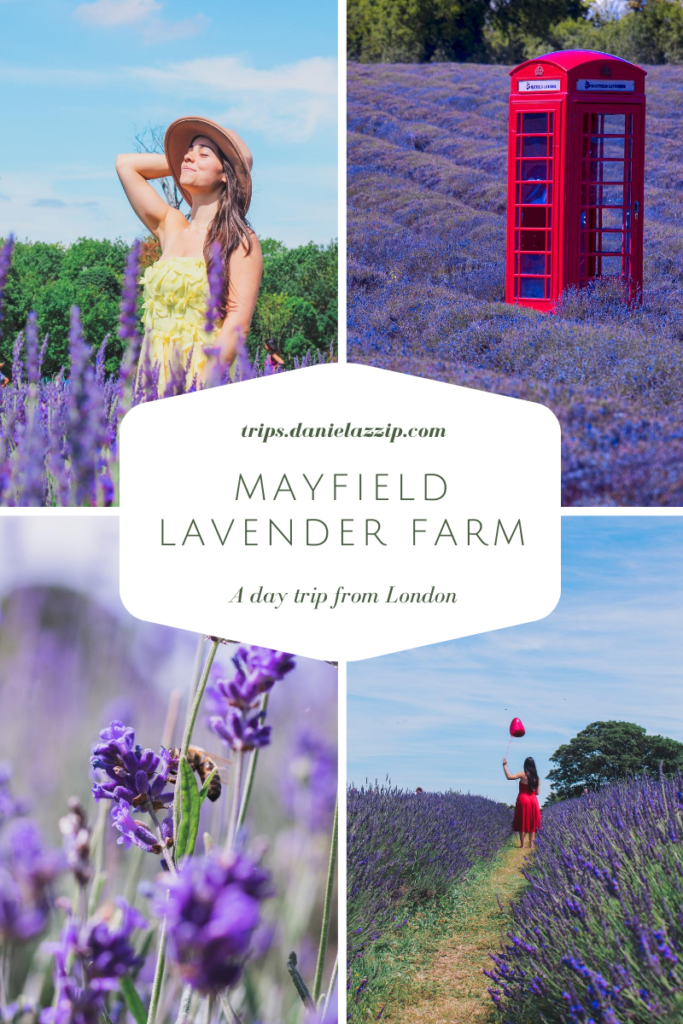 Mayfield Lavender Farm