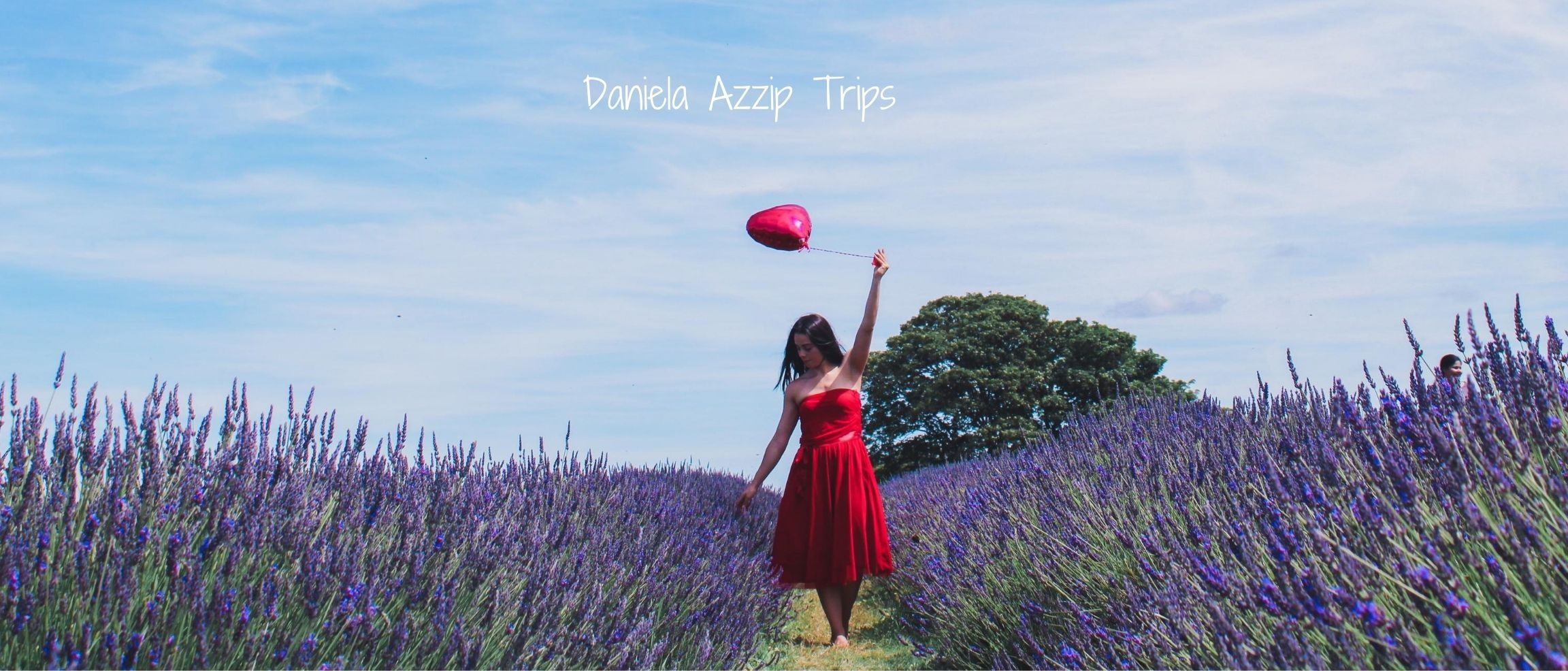 photoshoot at Mayfield Lavender Farm