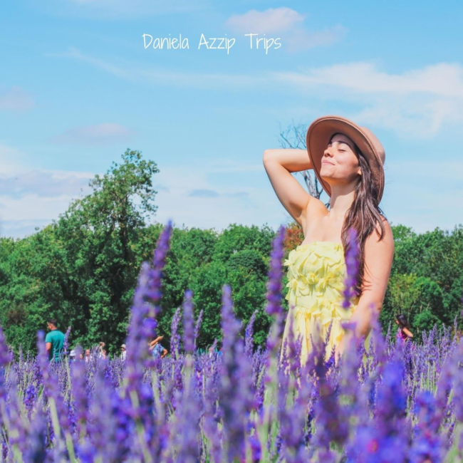 what to know about Mayfield Lavender Farm