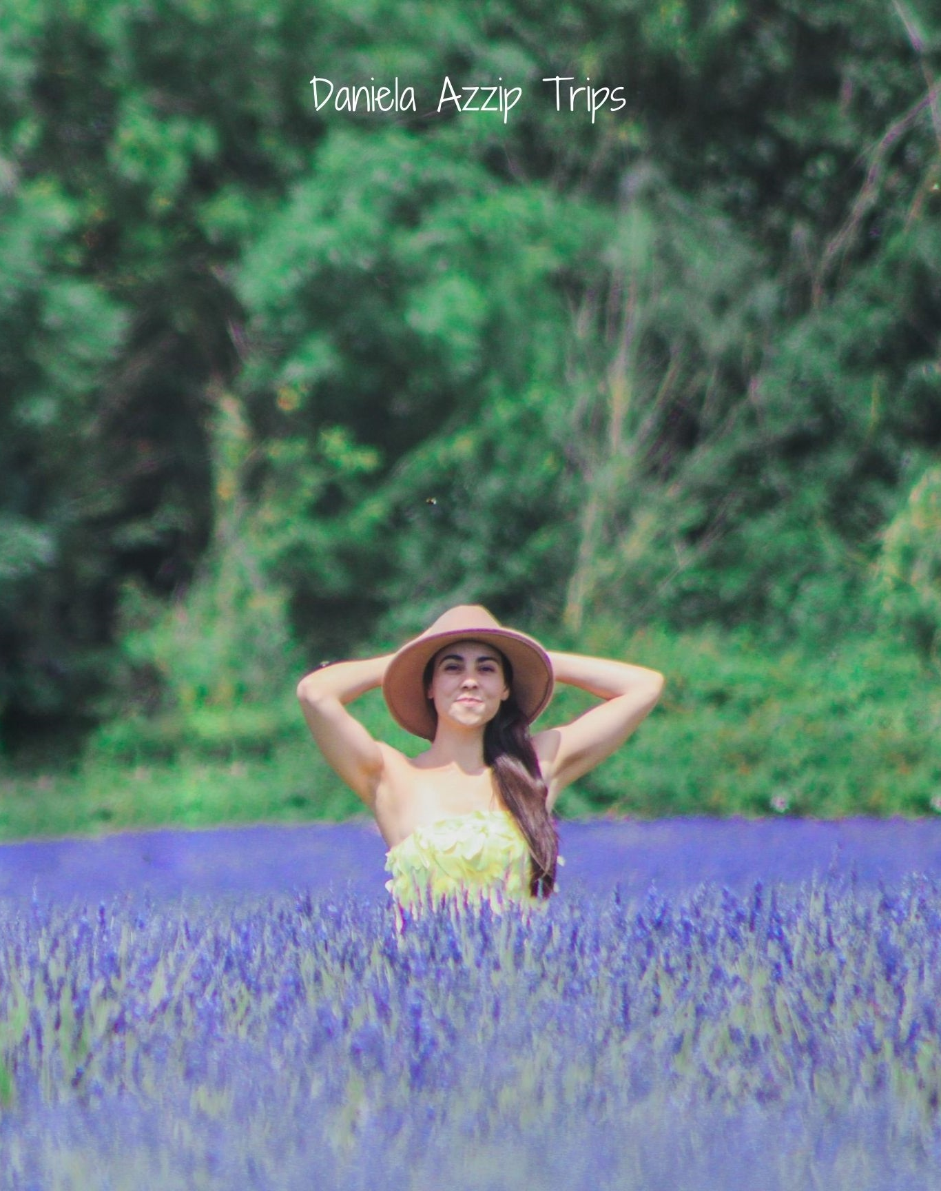 what to know about Mayfield Lavender Farm - where is it