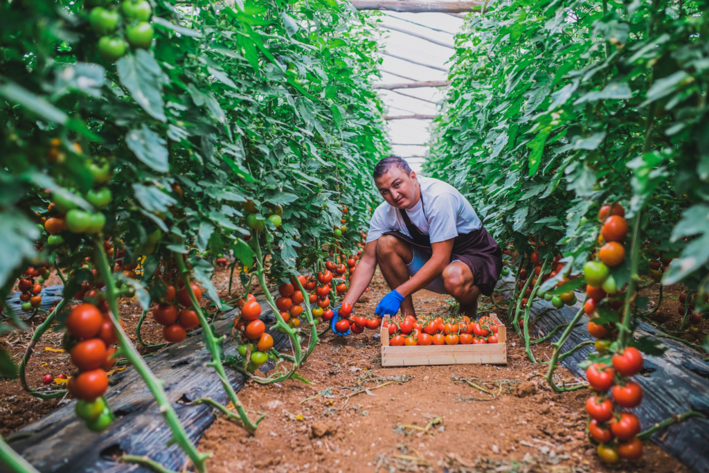 labour working is a bit tougher, but gives everyone the possibility to earn money while travelling
