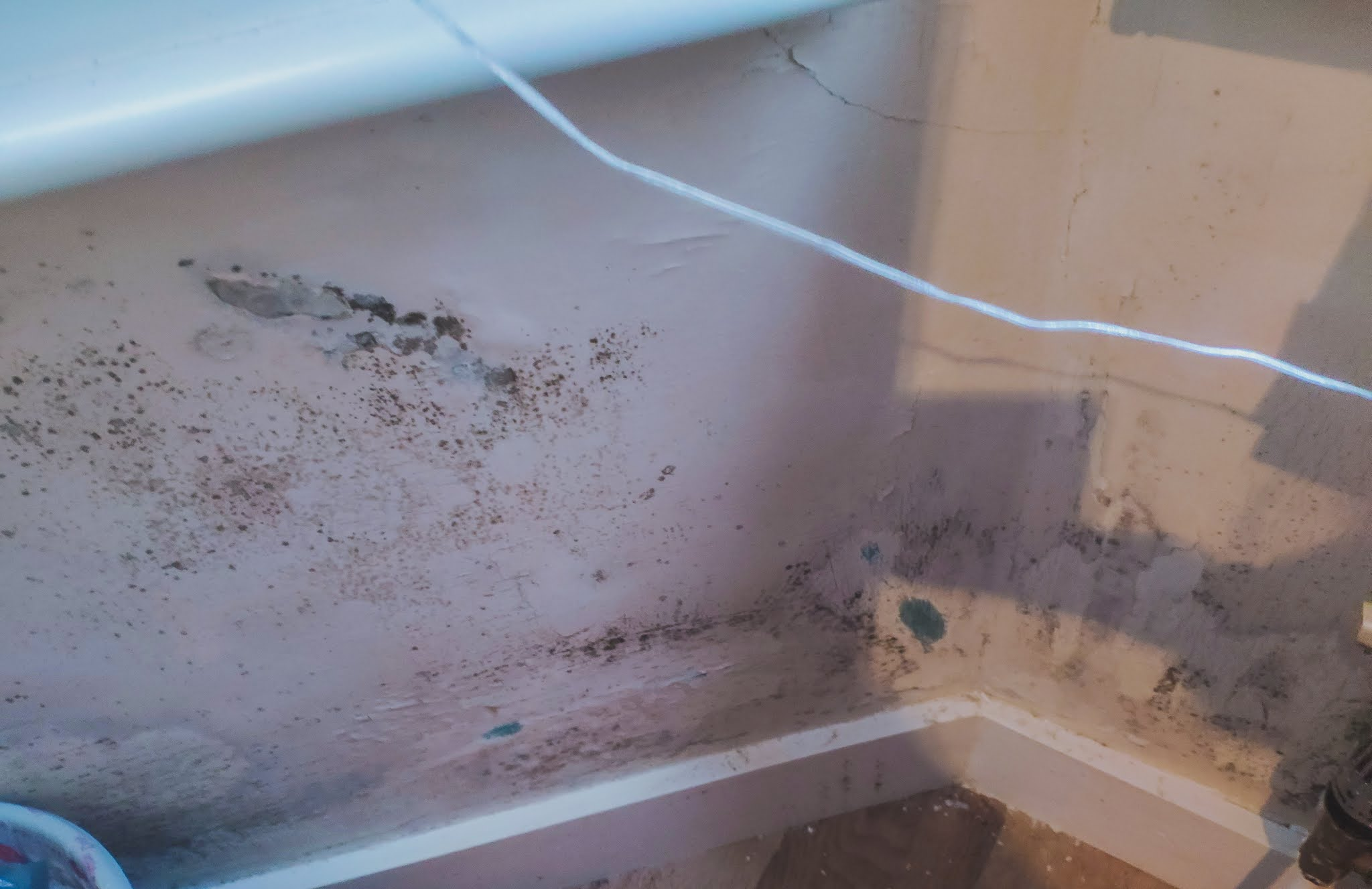 things to know before moving to London - mouldy houses