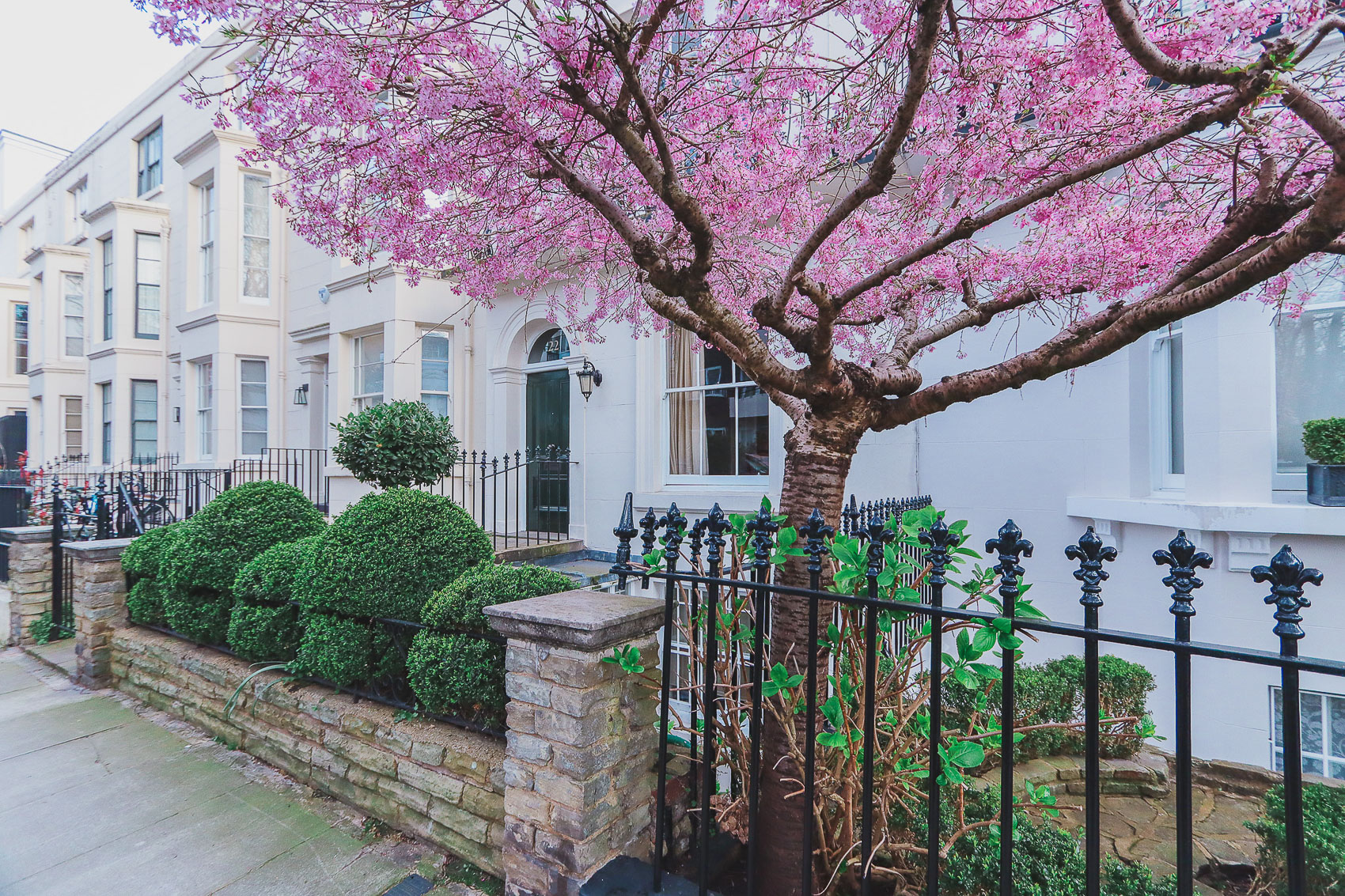 22 Gloucester Walk is one of the places where to find cherry blossoms in London