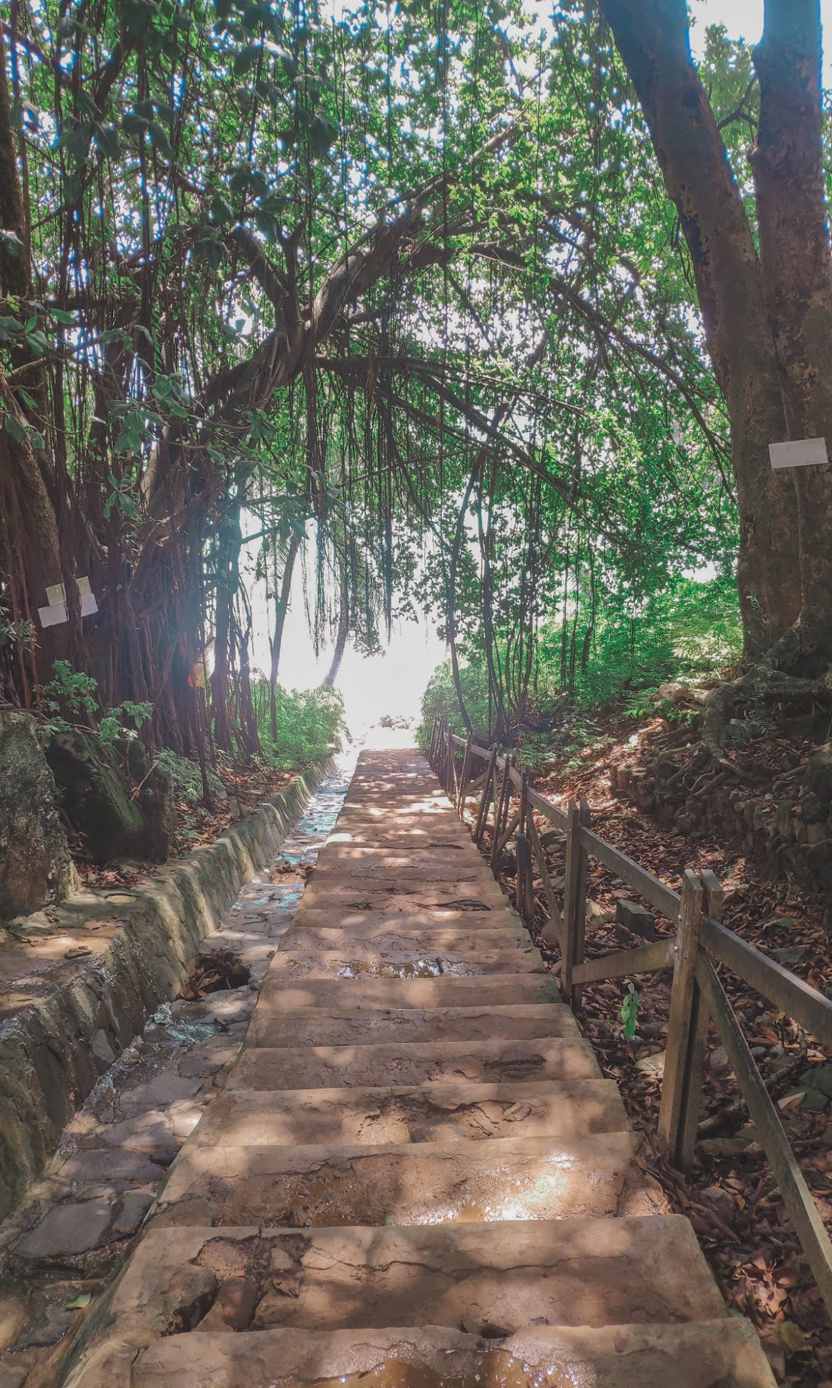 Access from Vila dos Remédios to Praia do Cachorro