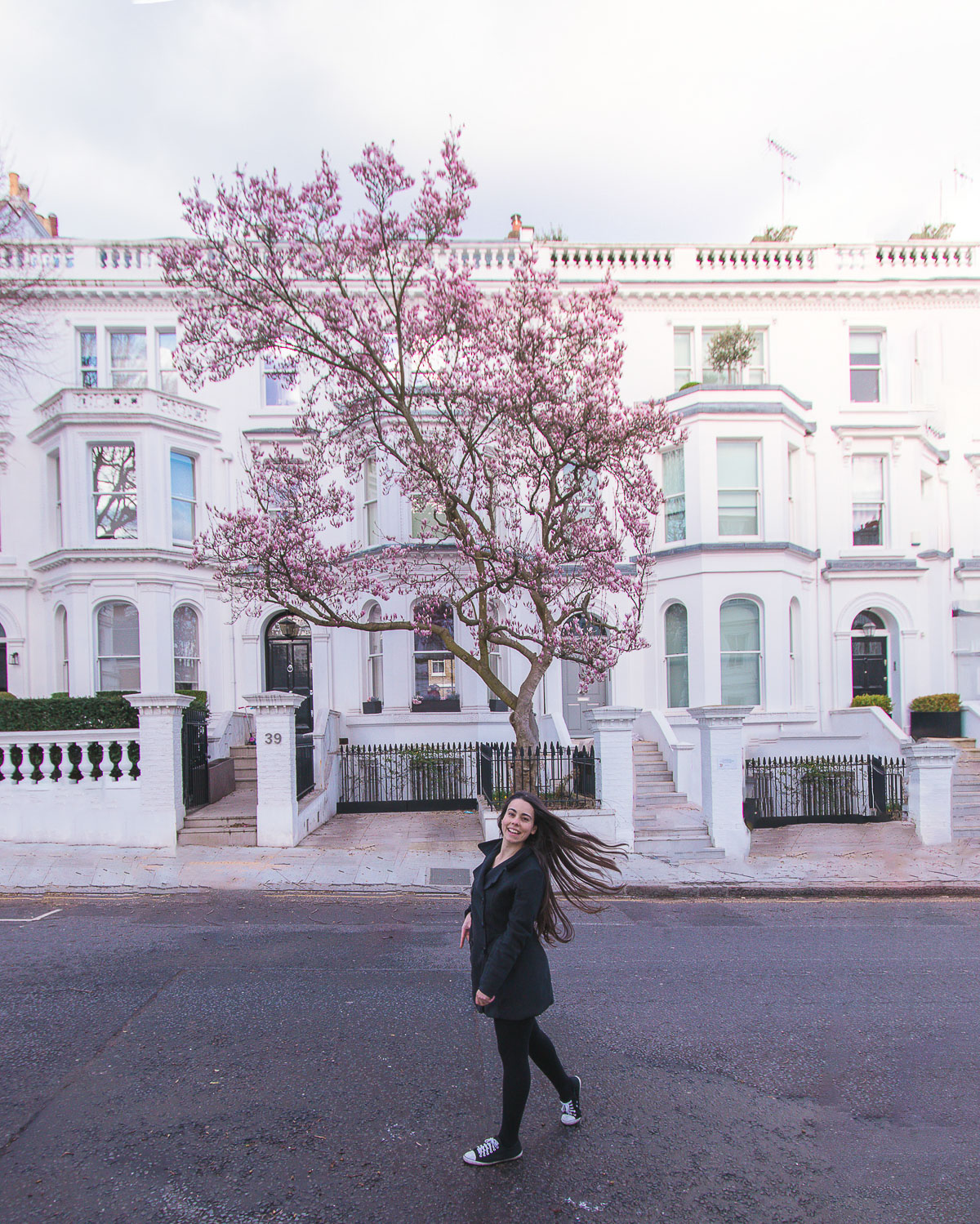 Argyll Rd 39 is one of the places where to find magnolias in London