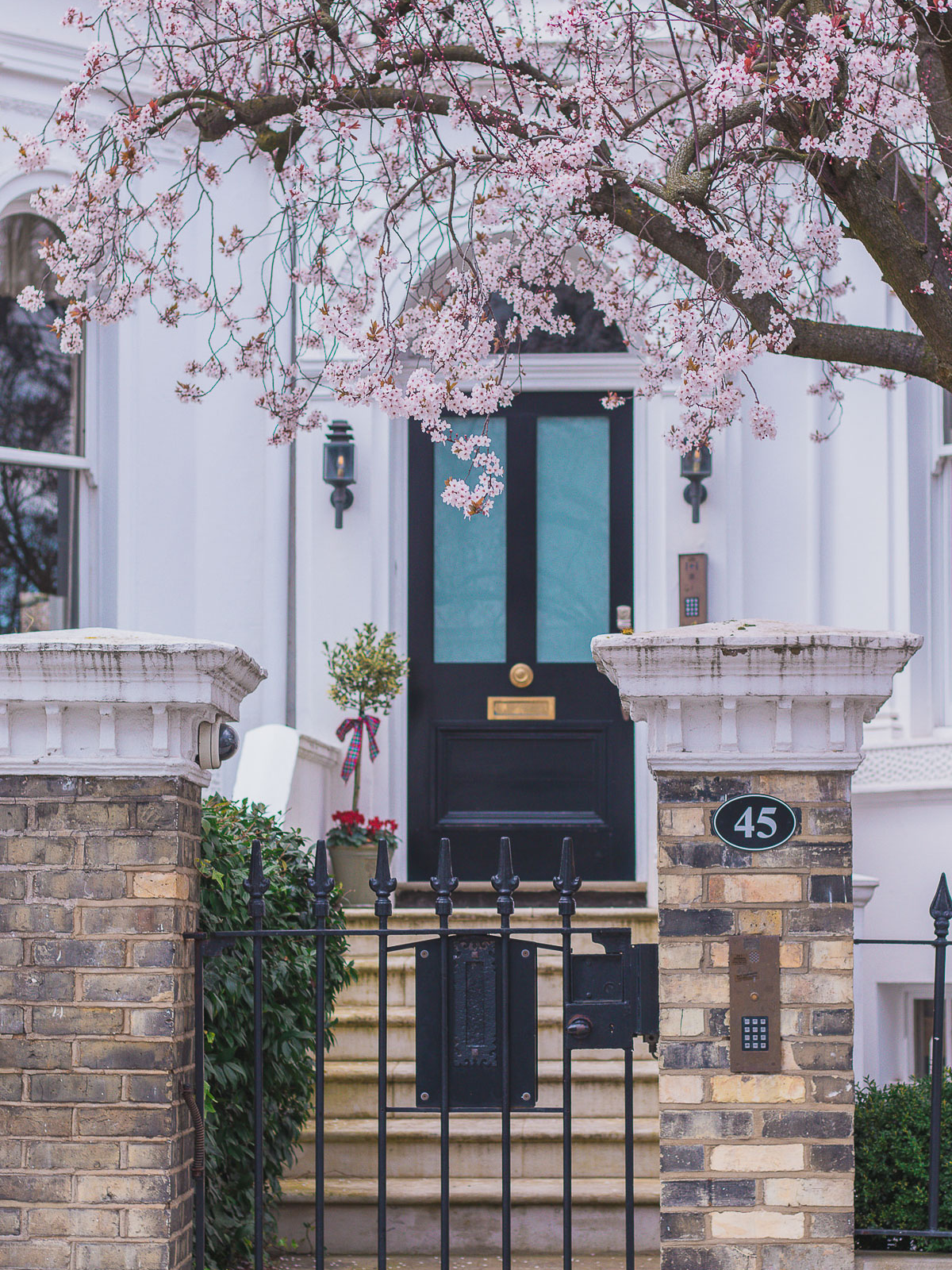 Argyll Rd 45, London - where to find the early blossoms in London