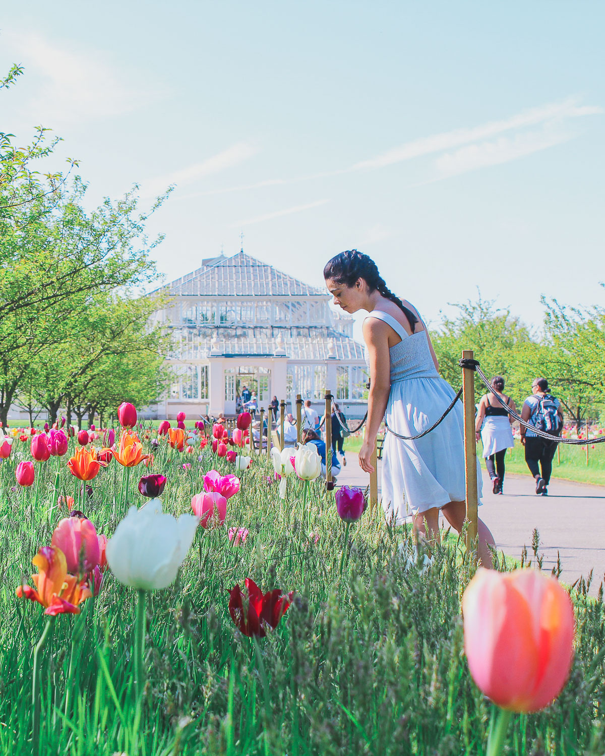 Beautiful flowers in Kew Gardens, London