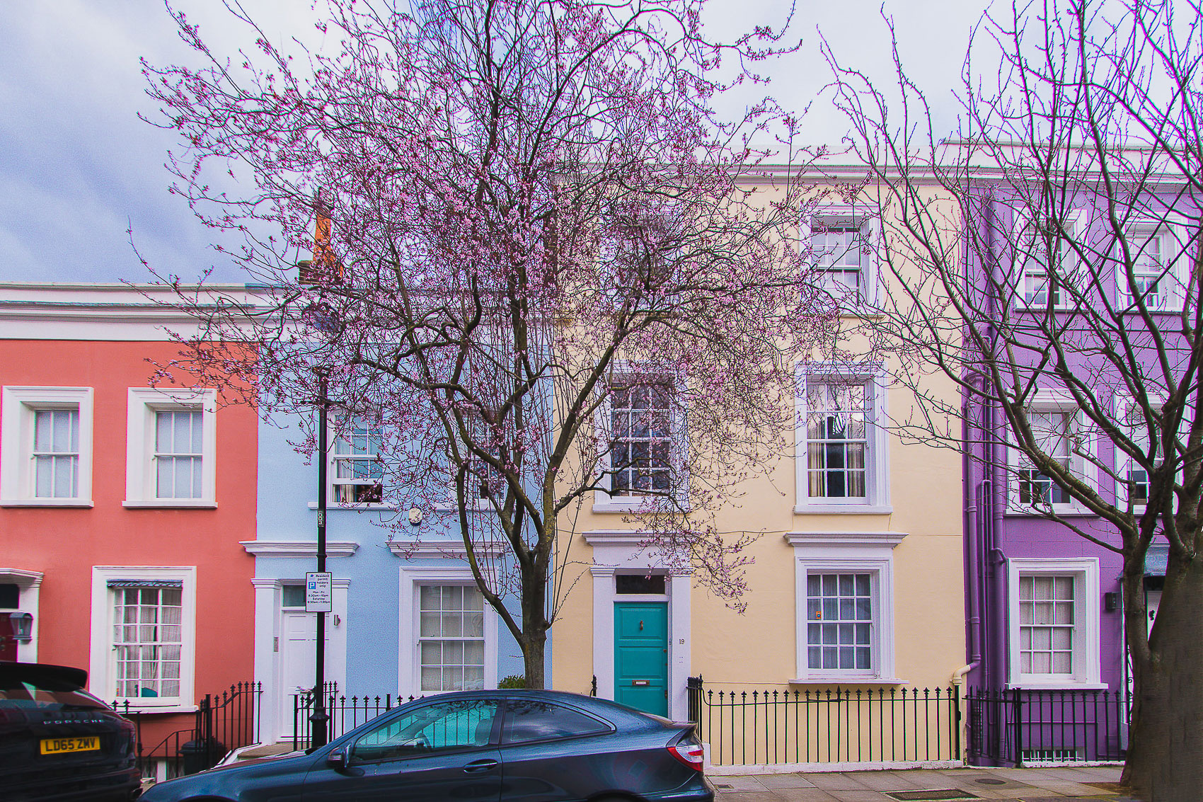 Cherry Blossoms at 19 Farm Place, London - where to find the early blossoms in London