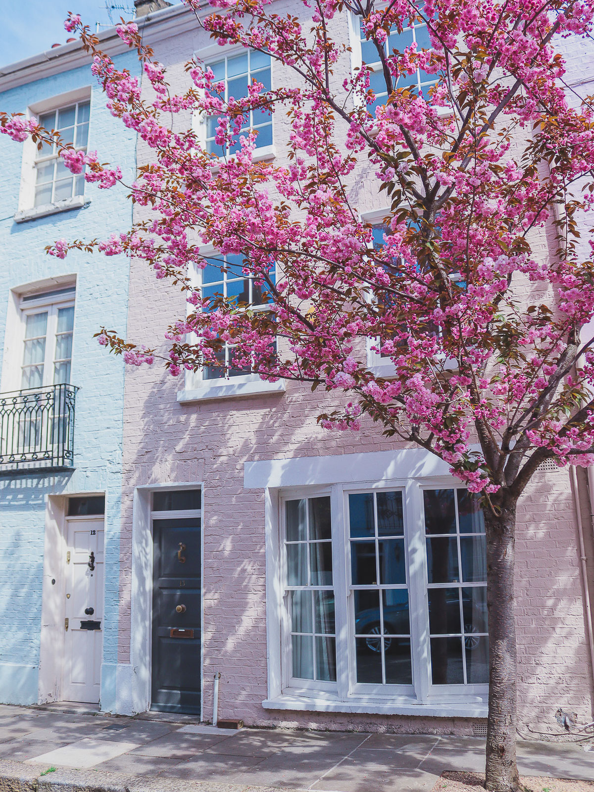 Cherry blossoms at Blithfield Street, London