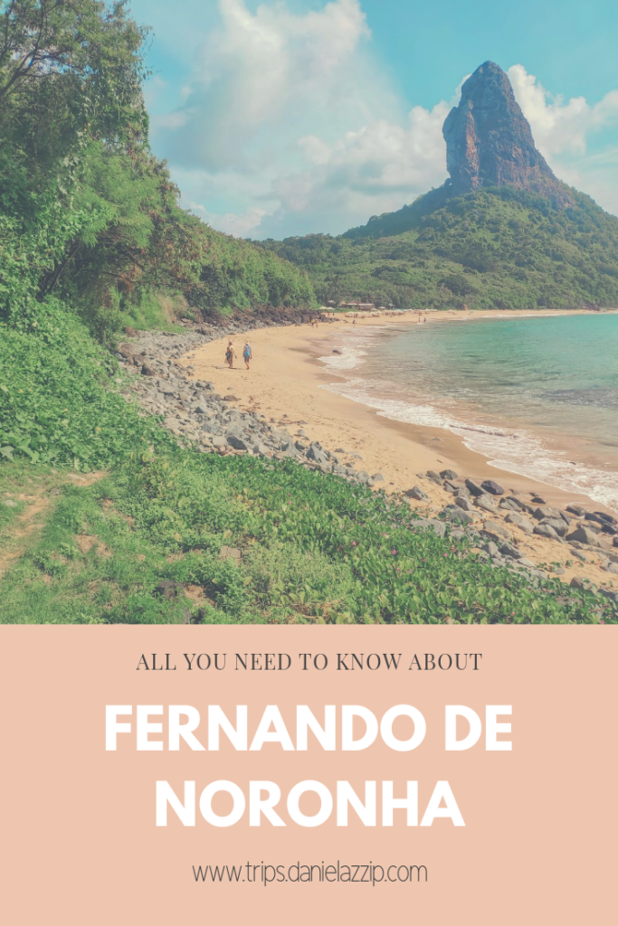 Fernando de Noronha all you need to know about the island
