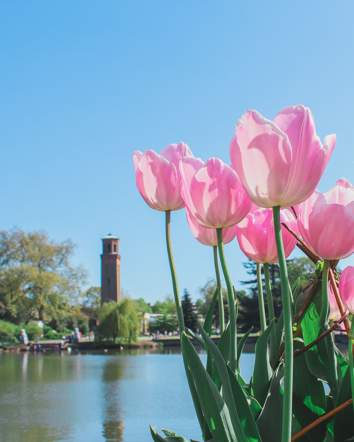 Kew Gardens during Spring, London