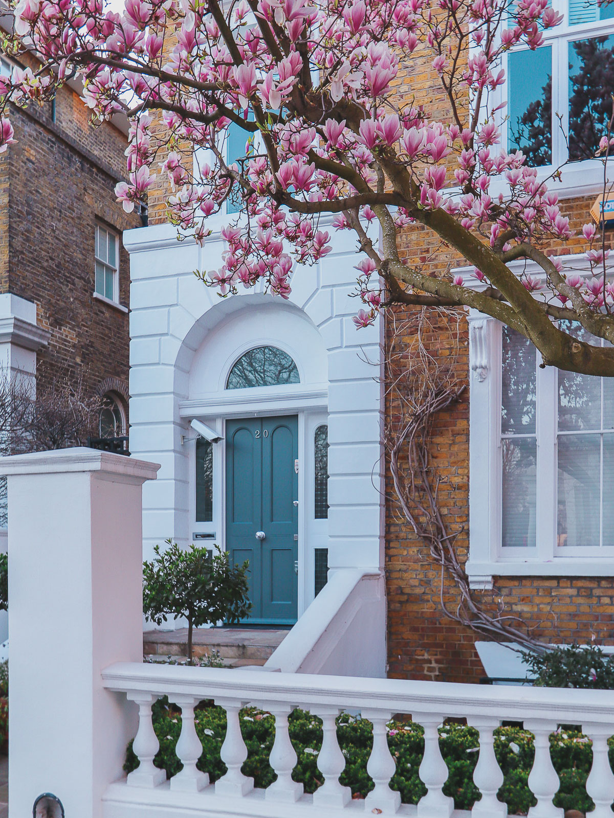 Magnolia at 19 Carlyle Square, London