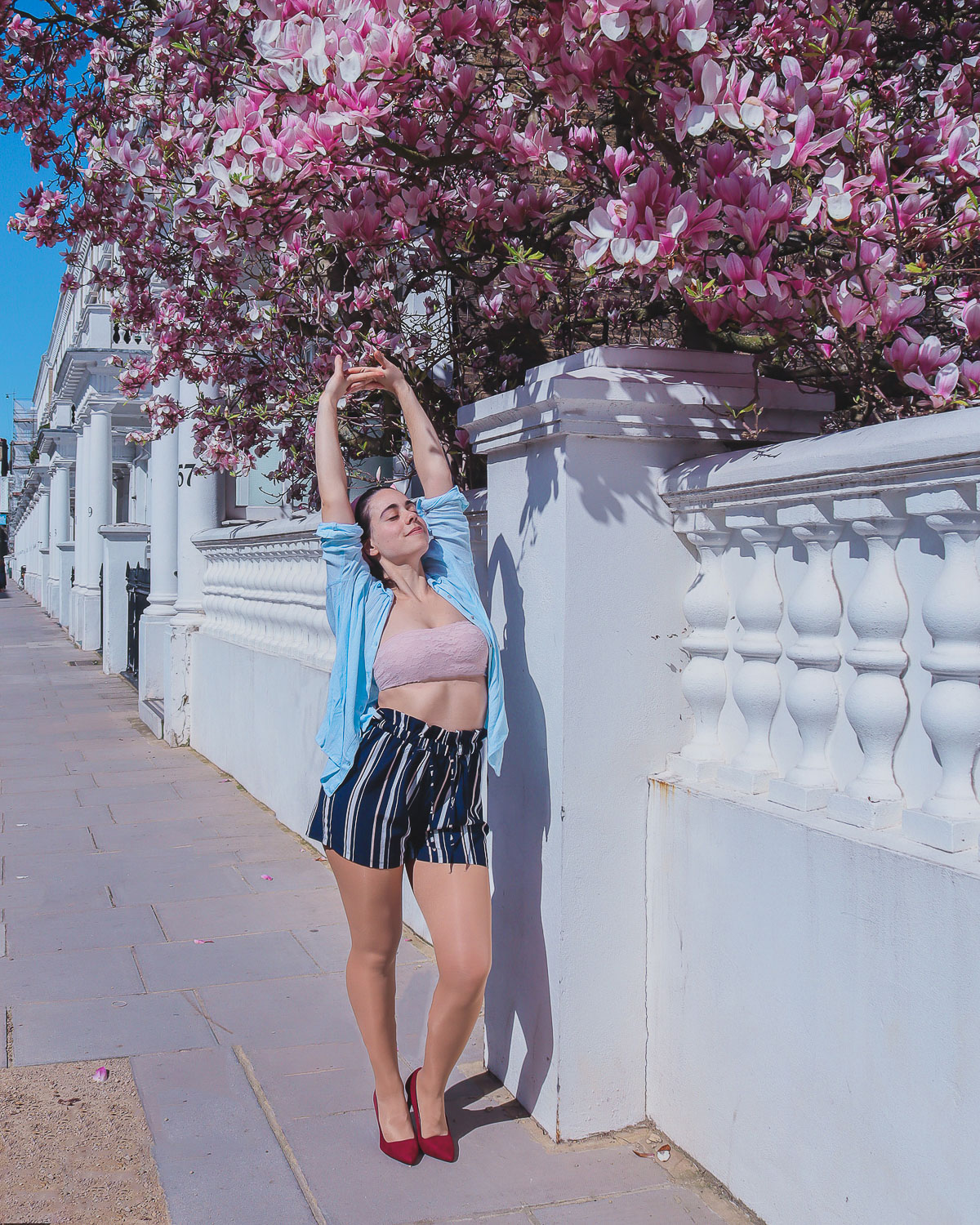 Magnolia at 57 Harcourt Terrace, London