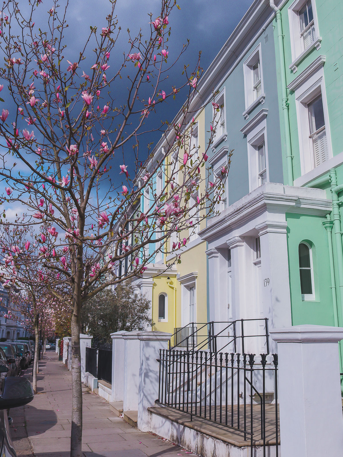 Magnolia at Elgin Crescent, London