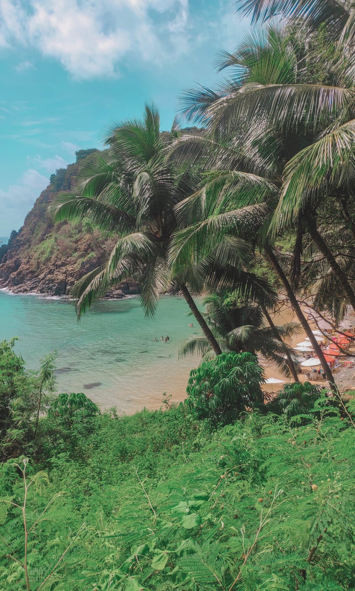 Praia do Cachorro behind palm trees