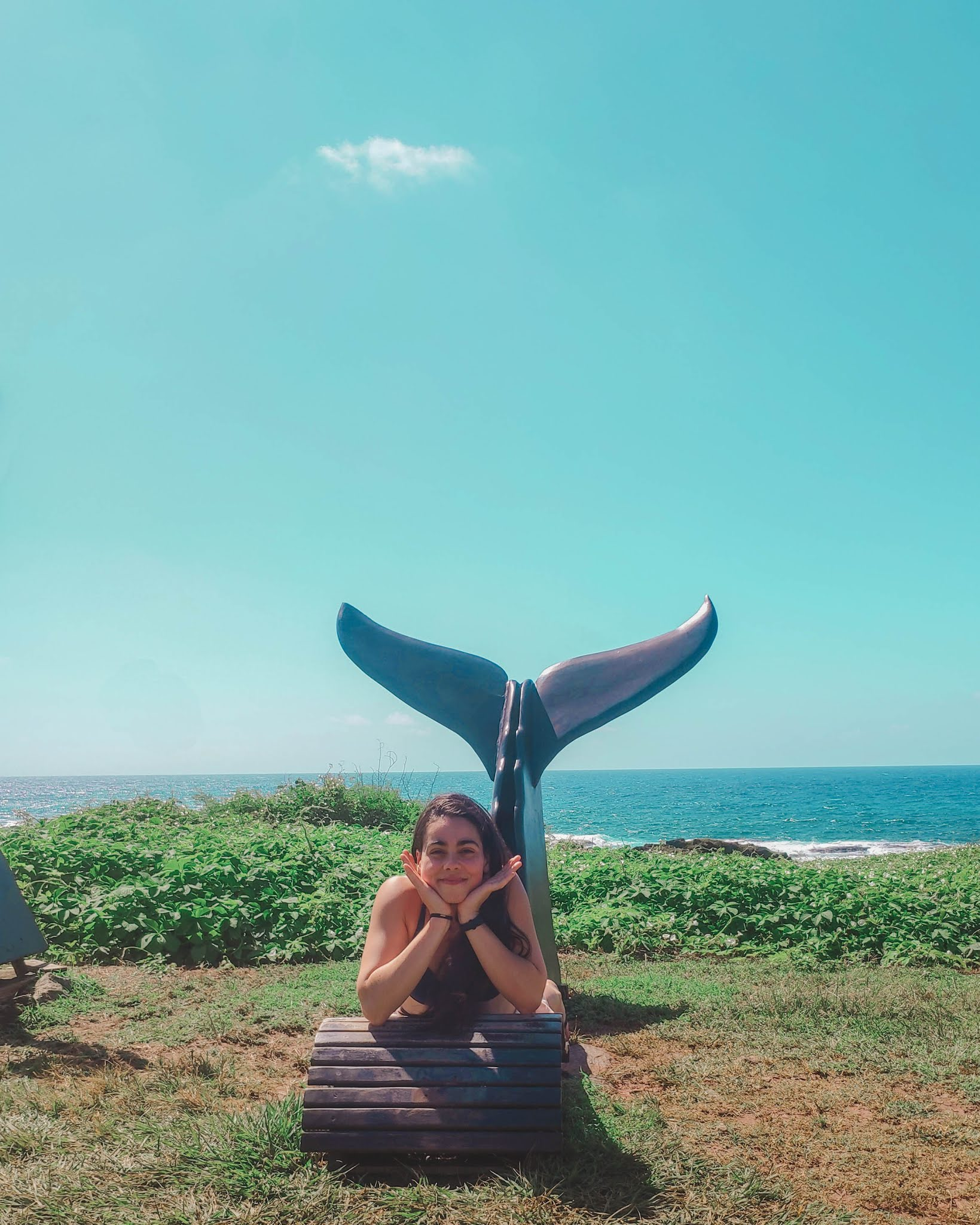 10 Things to do in Fernando de Noronha - Shark Museum, Brazil