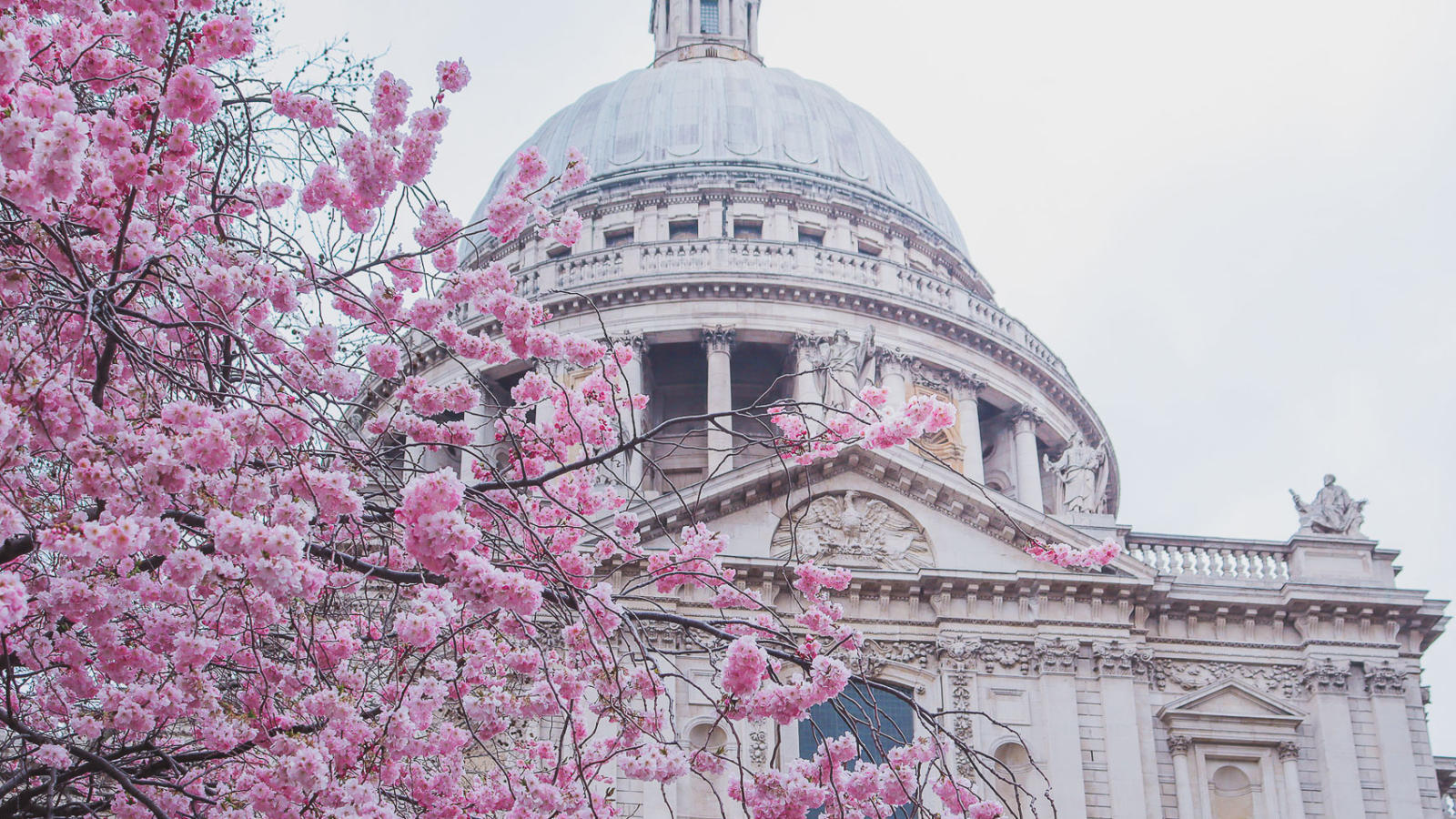St. Paul's Cathedral is one of the places where to find cherry blossoms in London