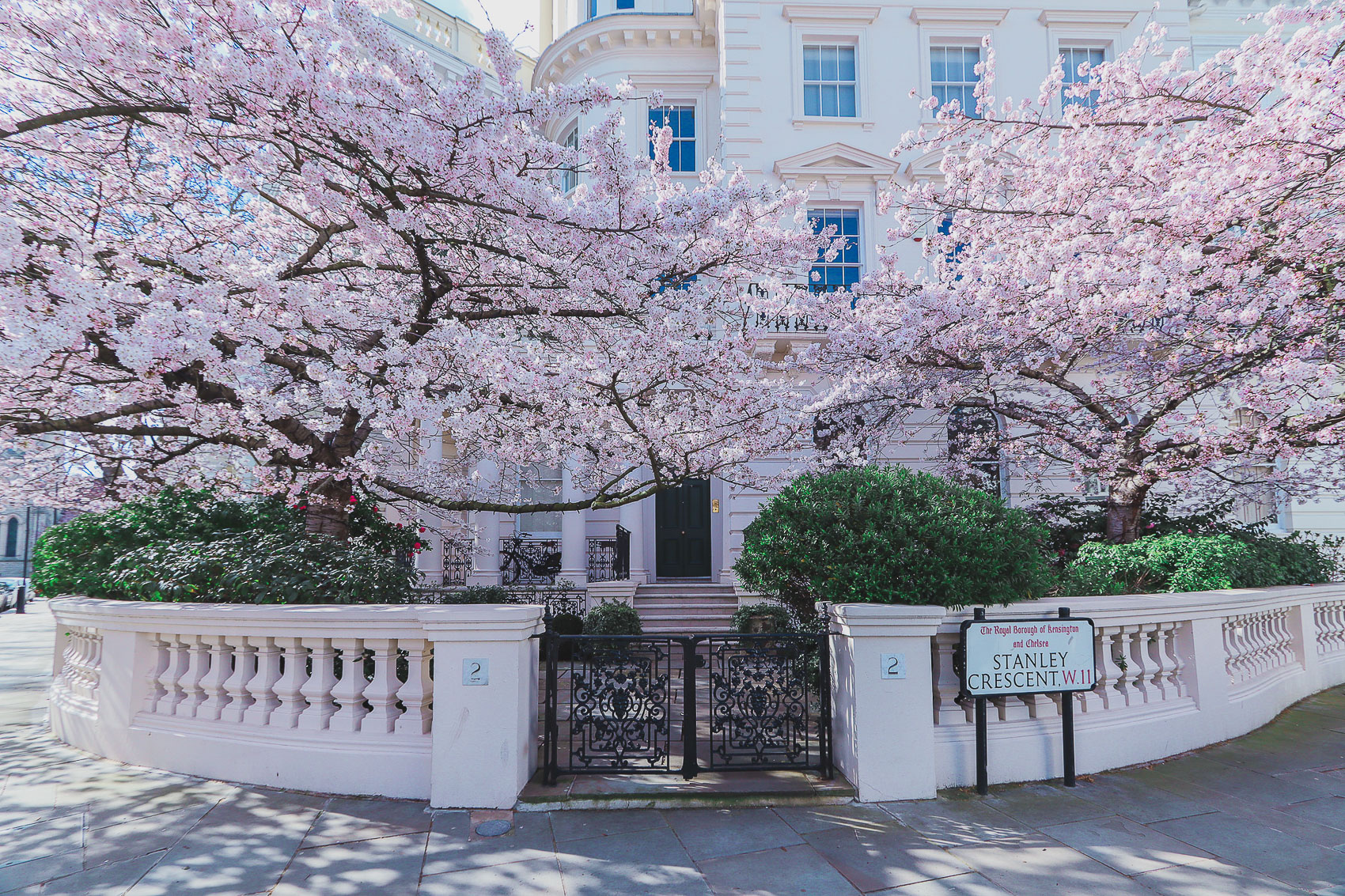 Stanley Crescent is one of the places where to find cherry blossoms in London