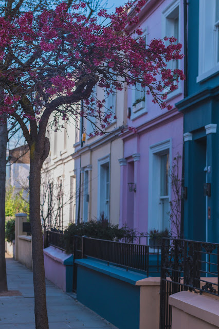 colourful houses and cherry blossom in London, 24 Portobello Road