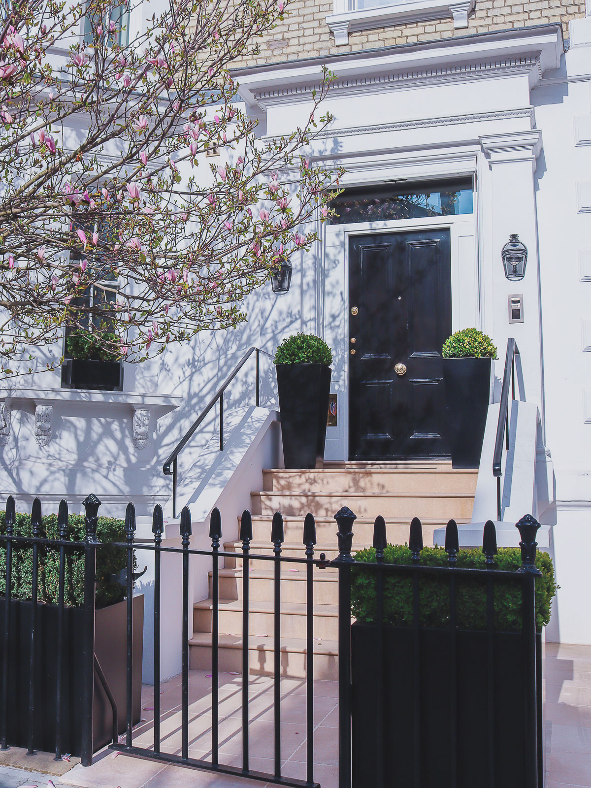 magnolia at 28 Phillimore Gardens, London