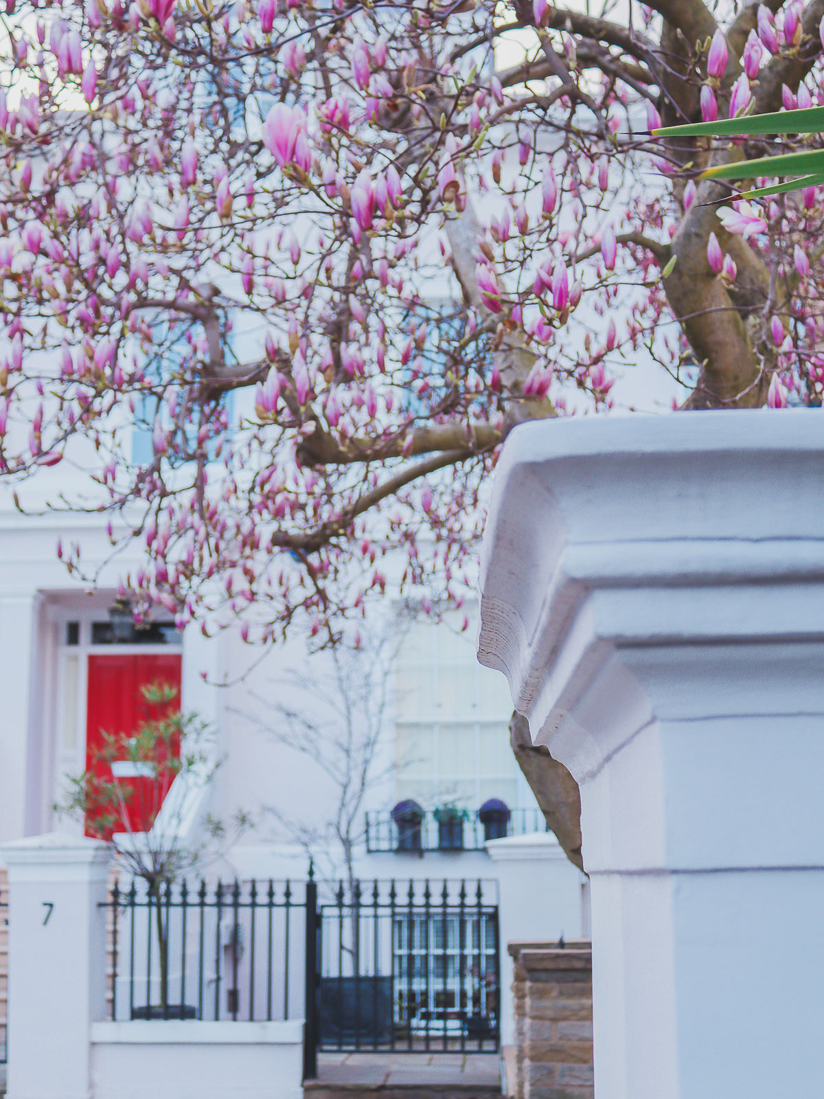 magnolia at 6 Albert Place, London