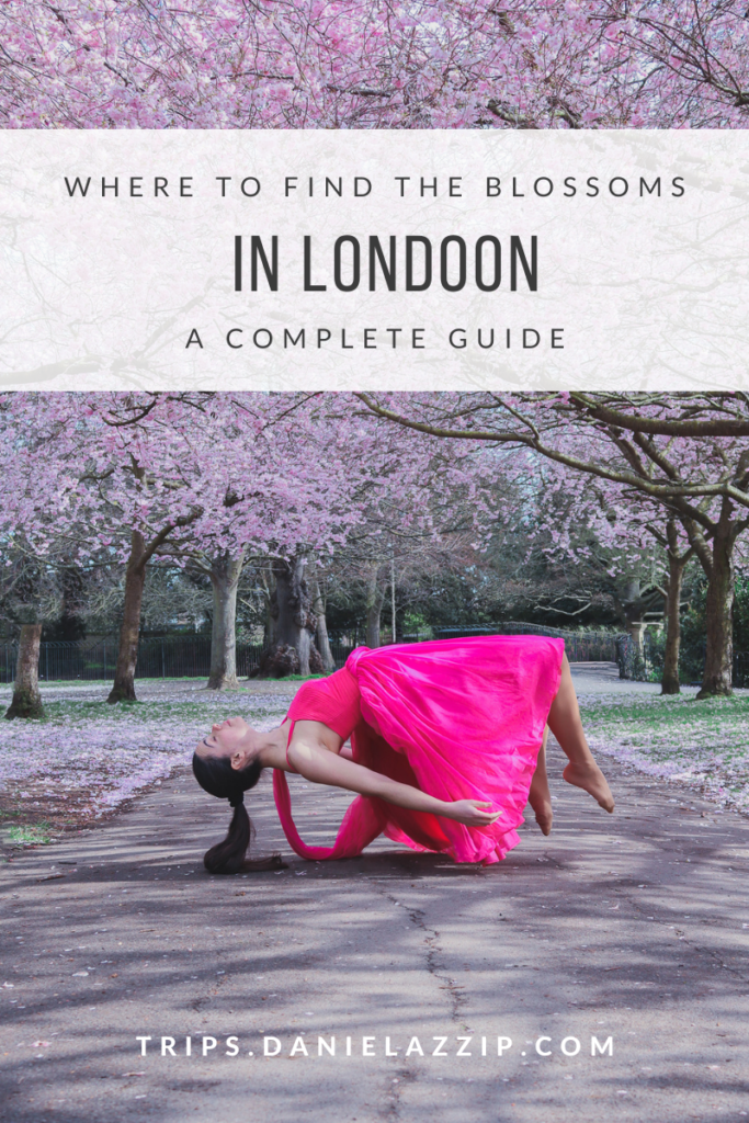 where to find blossoms in london