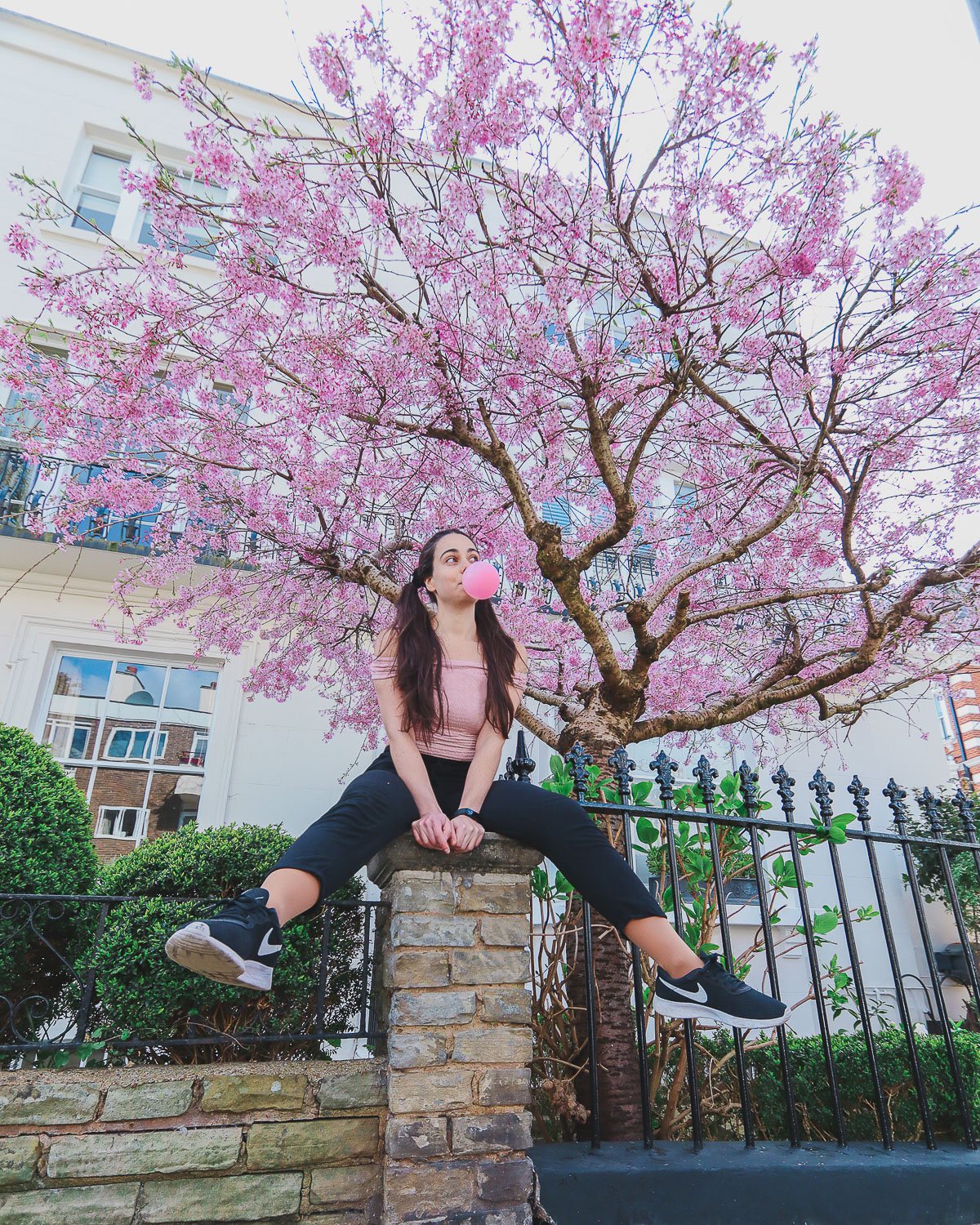 where to find cherry blossoms in London - 22 Gloucester Walk