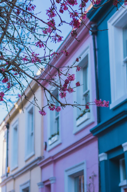 where to find cherry blossoms in London - 24 Portobello Road