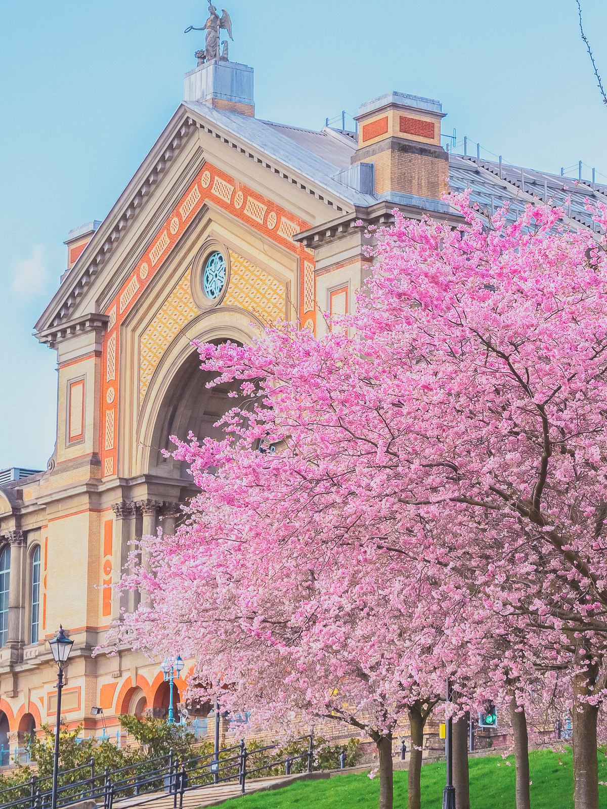 where to find cherry blossoms in London - Alexandra Palace