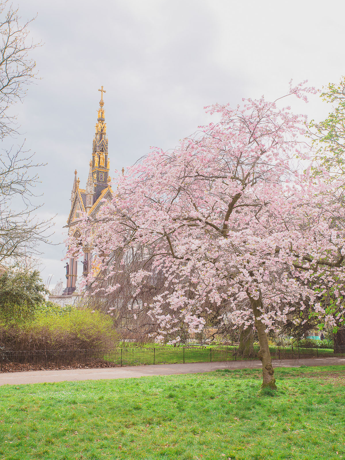 where to find cherry blossoms in London - Kensington Gardens