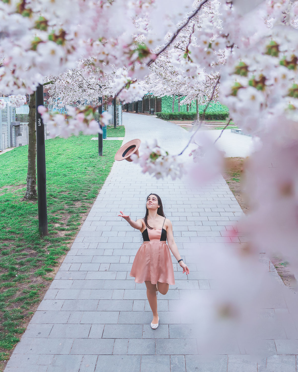 where to find cherry blossoms in London - Swiss Cottage Open Space