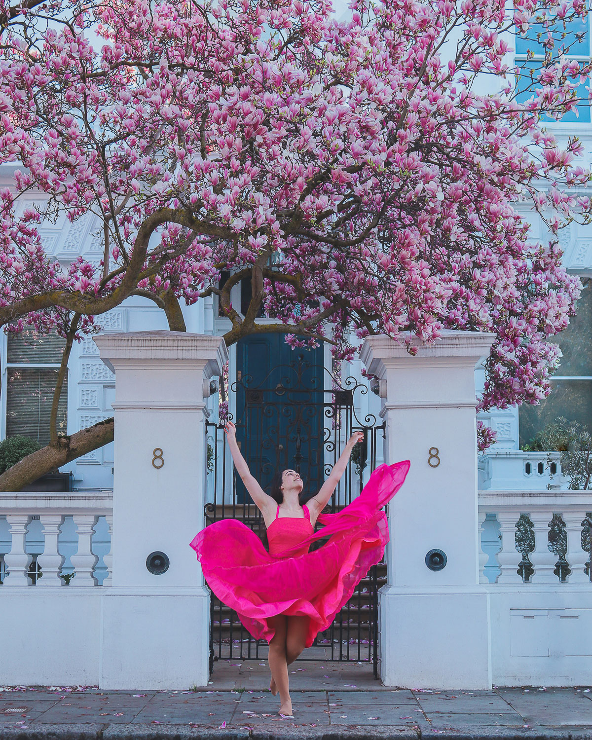 where to find magnolias in London - 8 The Boltons, London