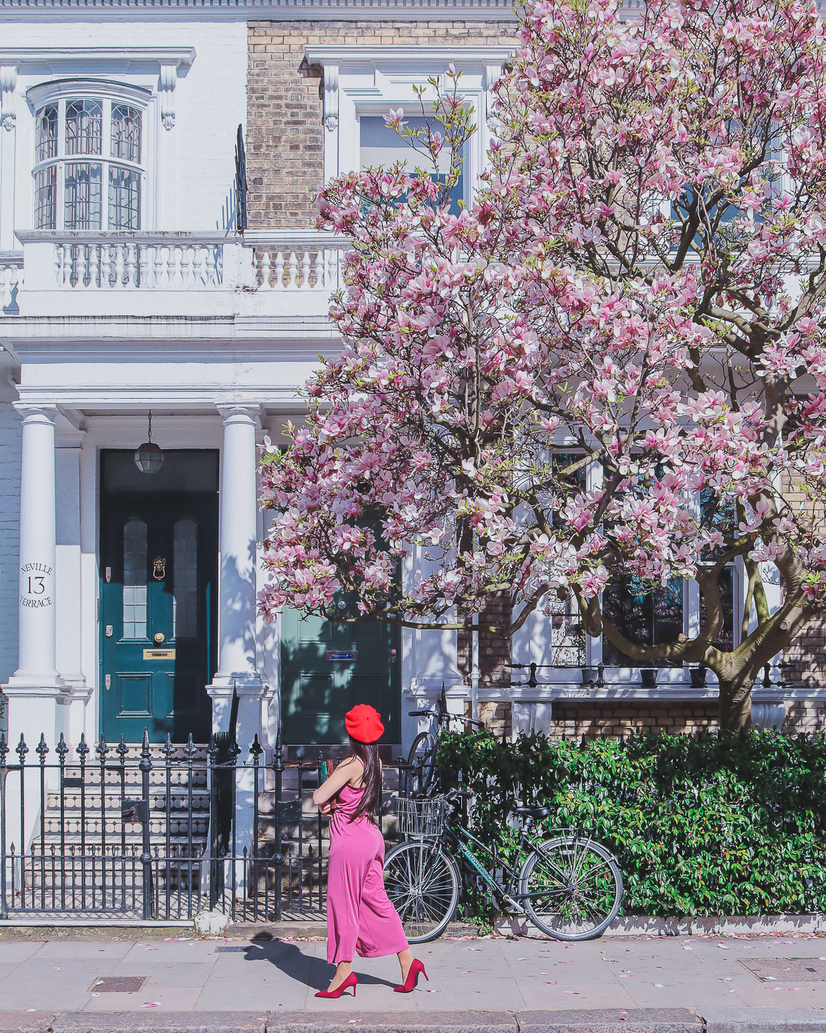 where to find magnolias in London - Neville Terrace