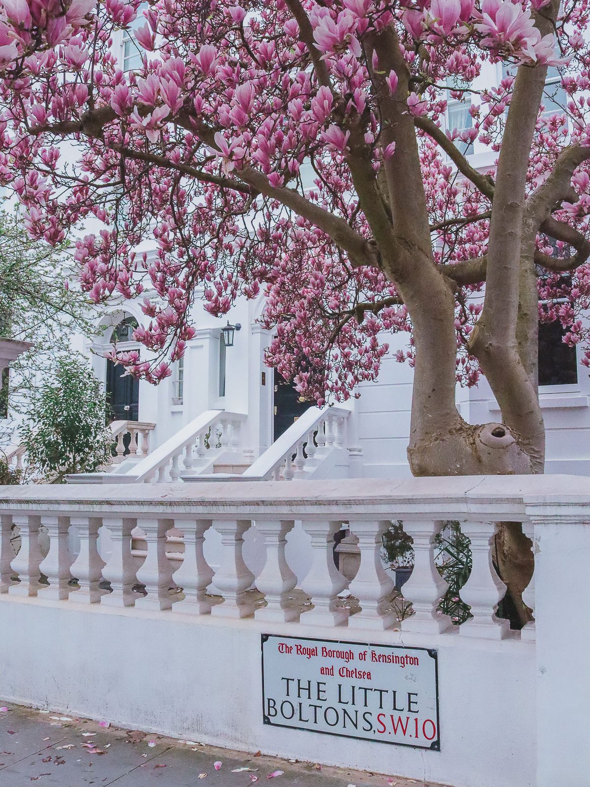 where to see magnolias in London - 25 The Little Boltons