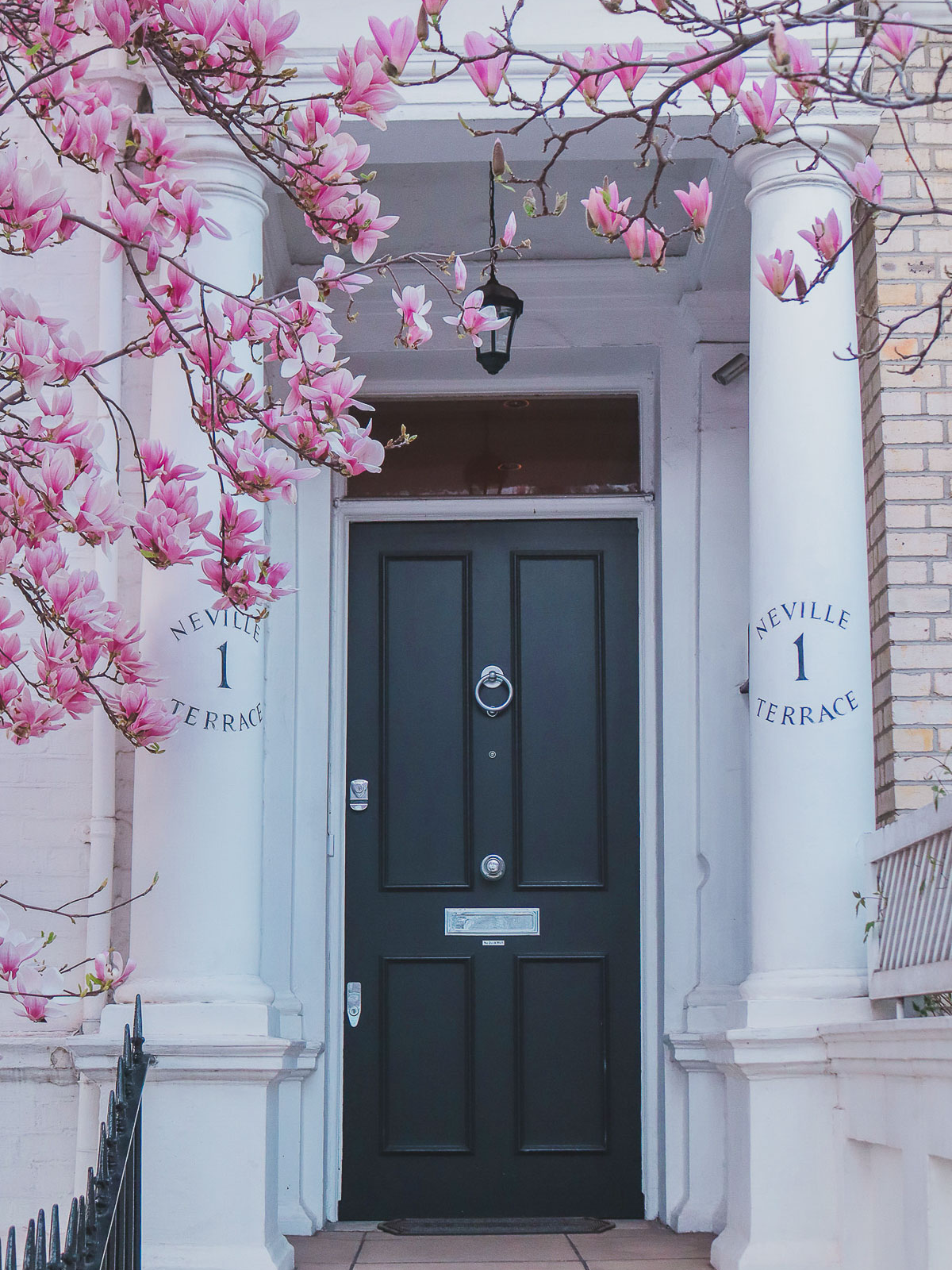 where to see magnolias in London - Neville Terrace