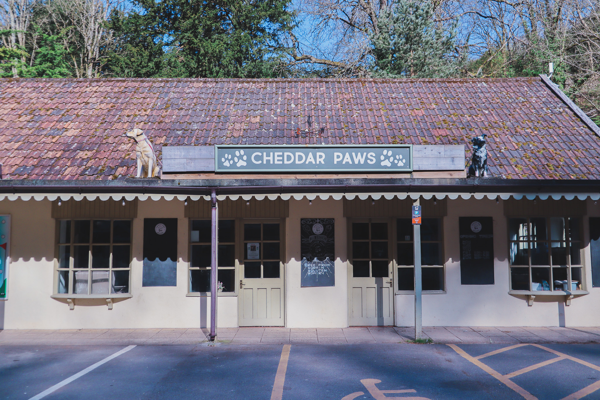 One of the top things to see and do in Cheddar Gorge is to take your dog to a dog bakery
