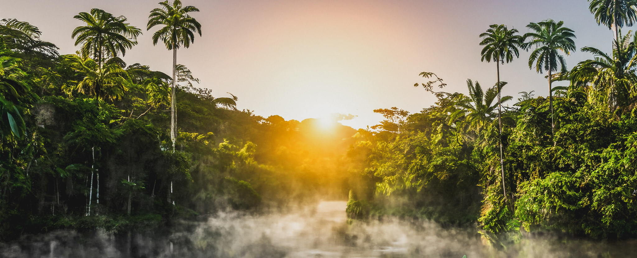 Amazon Jungle, Brazil