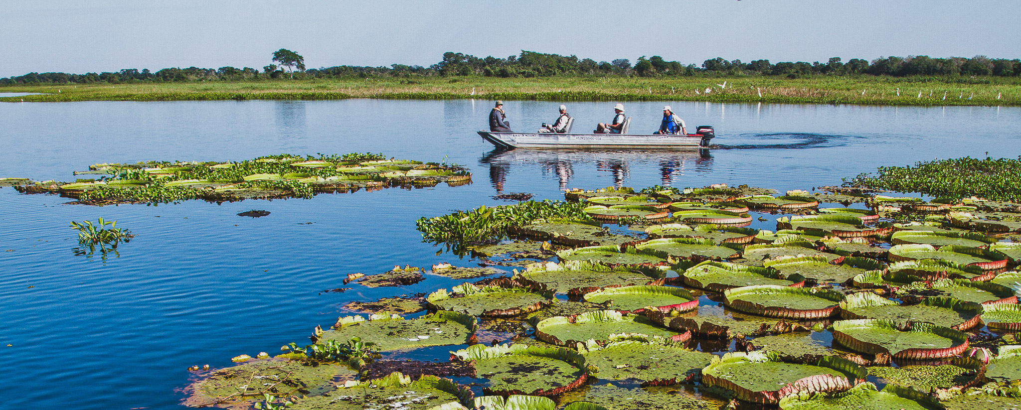 Pantanal, Brazil