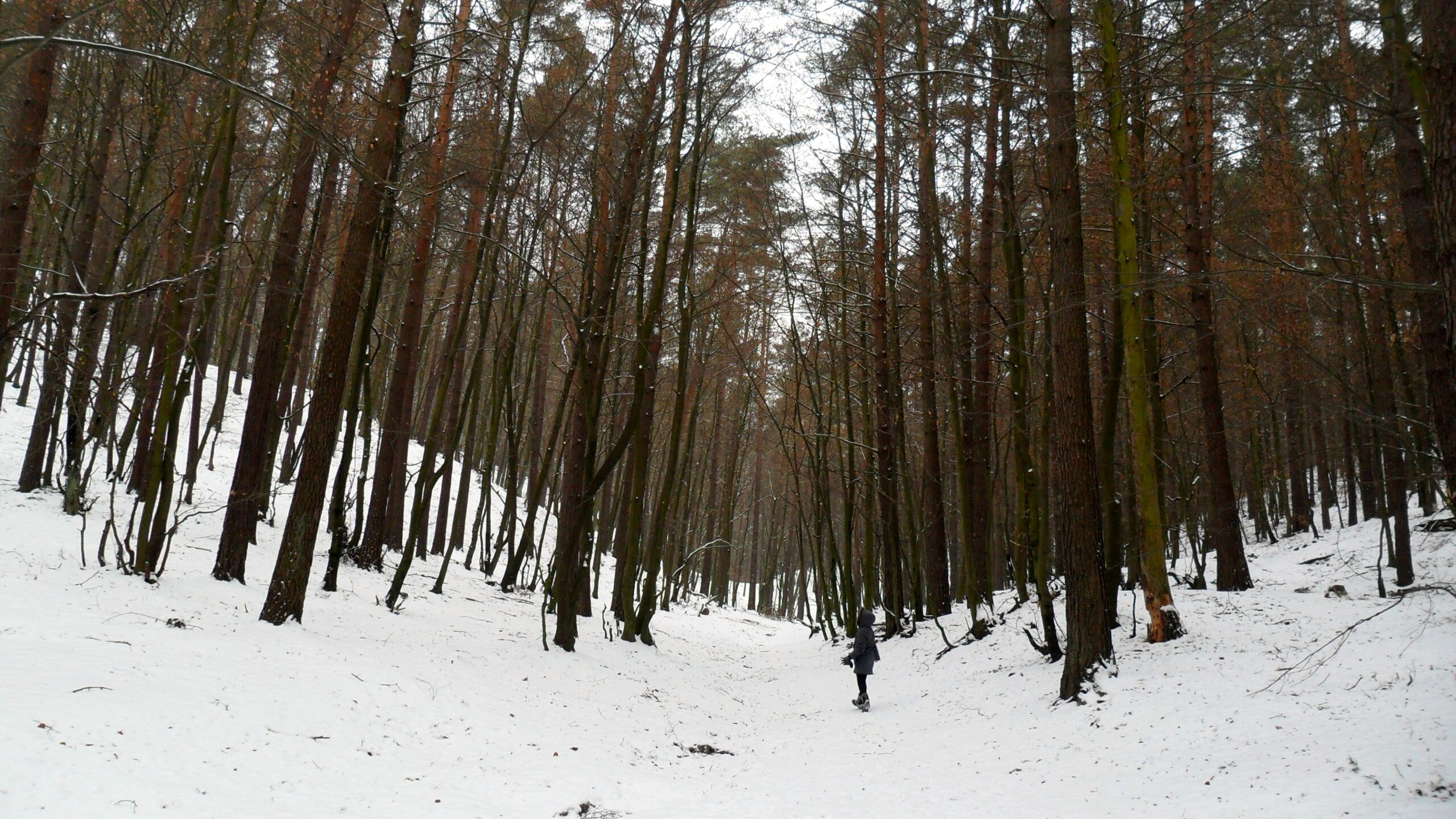 Who am I - Daniela Azzip Trips in Poland